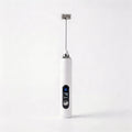 LVE Frother